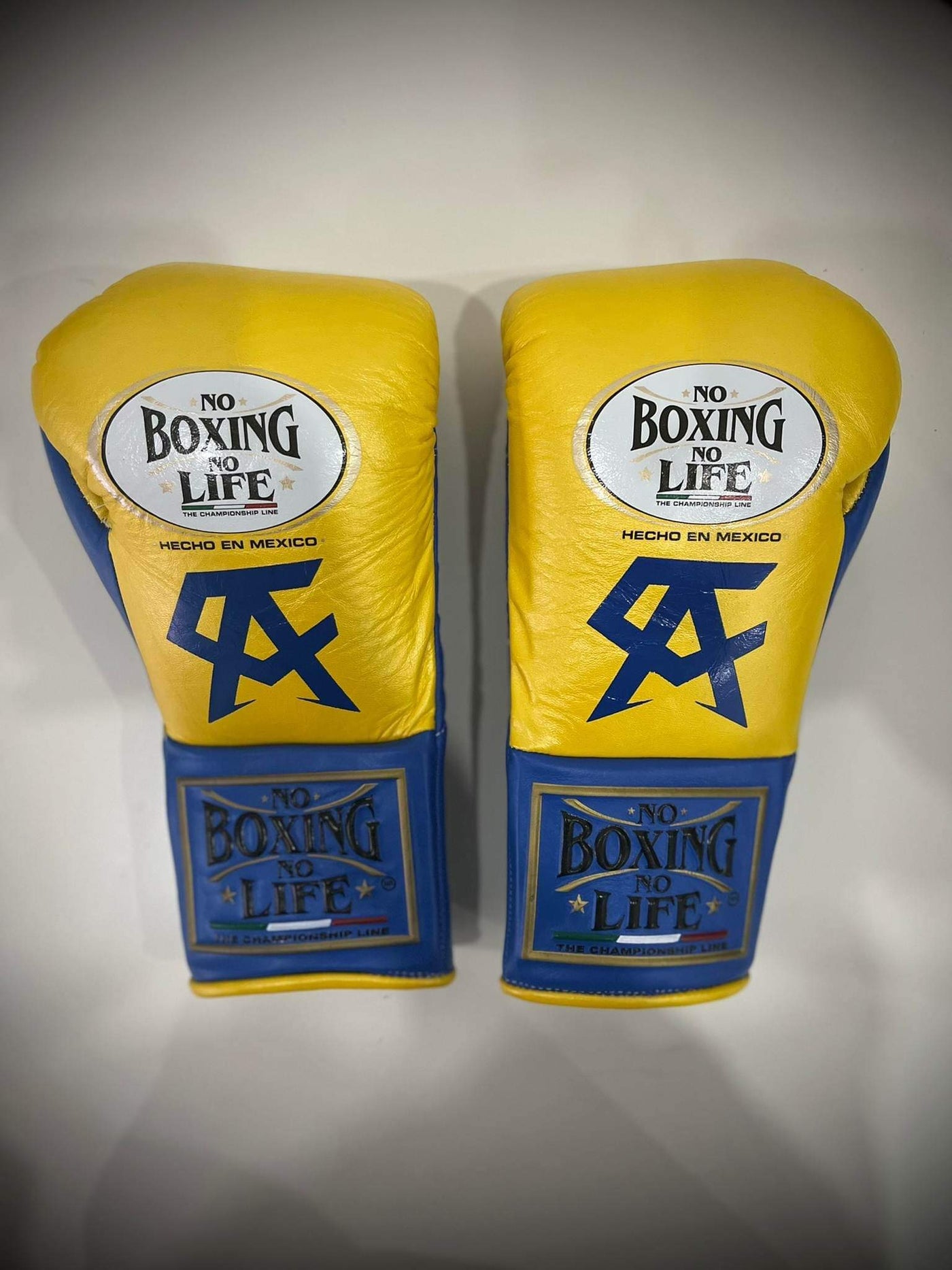 NO BOXING NO LIFE - CANELO EDITION Fight Glove