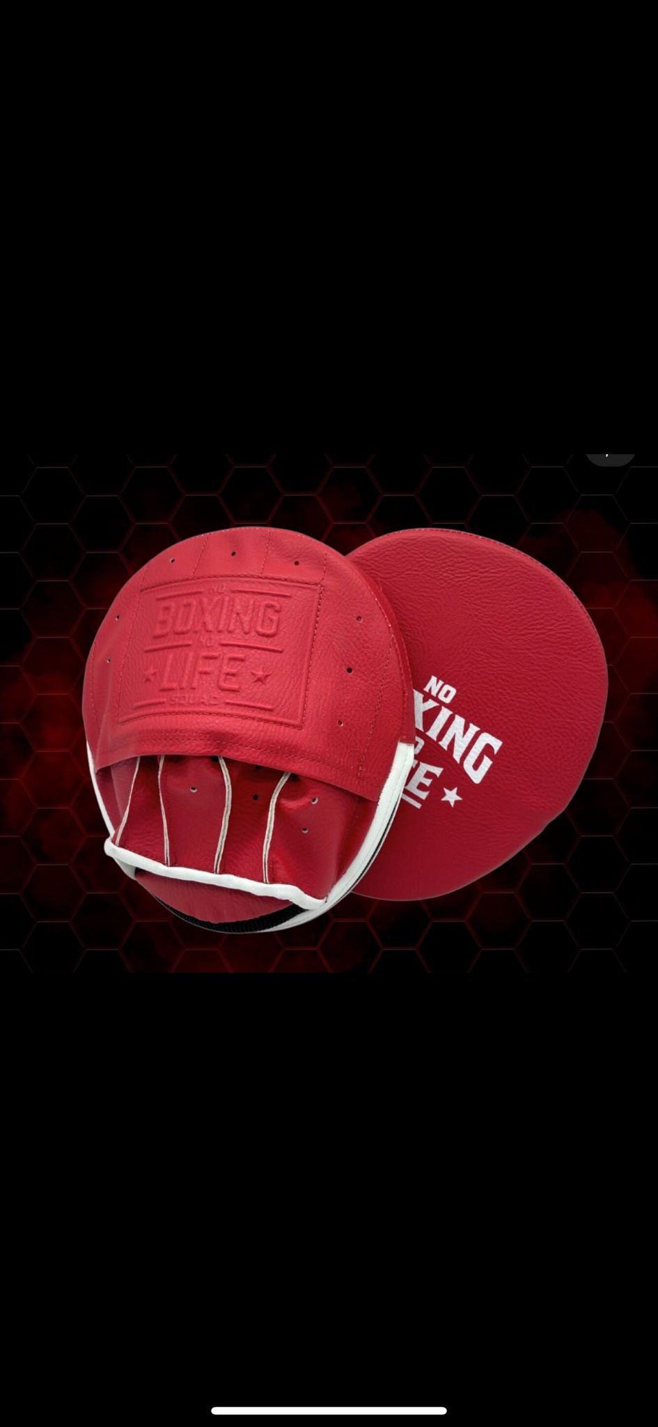 No Boxing No Life Mini Mitten – KO Sports UK