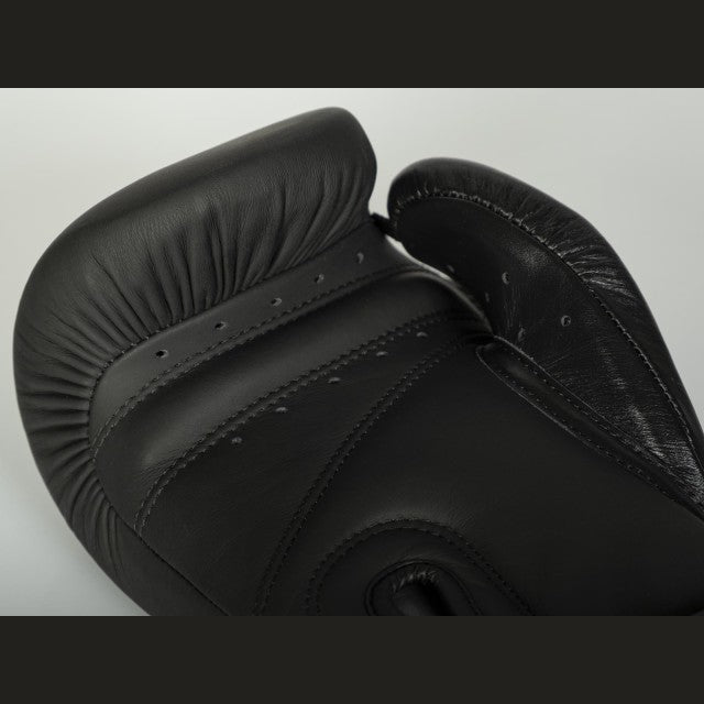 PAFFEN SPORT STEALTH Boxing gloves for sparring