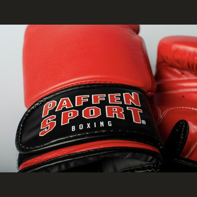 PAFFEN SPORT KIBO FIGHT Spar gloves