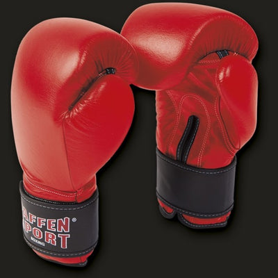 PAFFEN SPORT KIBO FIGHT Spar gloves