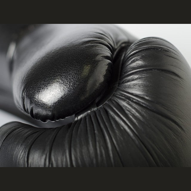PAFFEN SPORT BLACK LOGO Boxing gloves for sparring