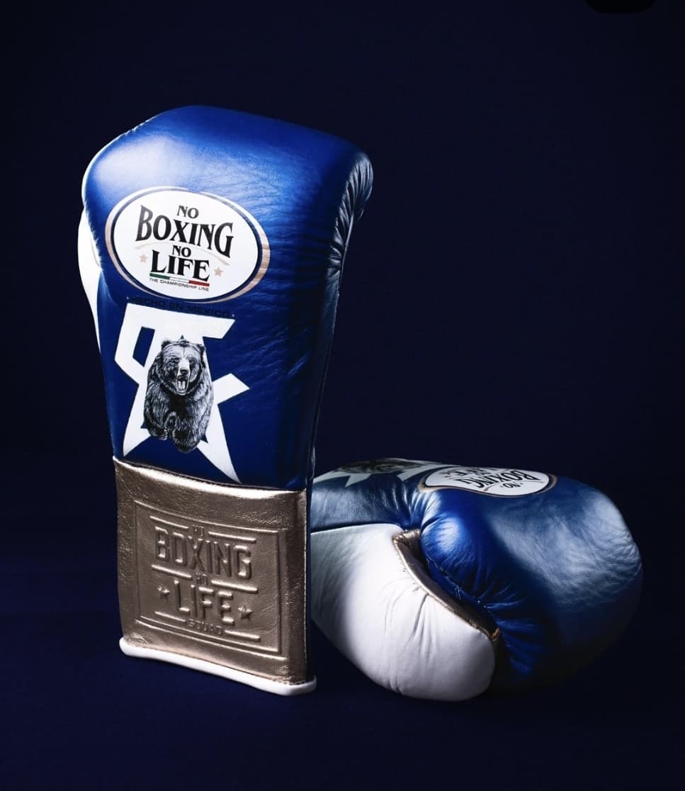 ノーボクシングノーライフ ボクシンググローブ 10oz