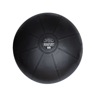 1kg Weighted Swiss Balls