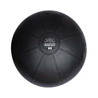 1kg Weighted Swiss Balls