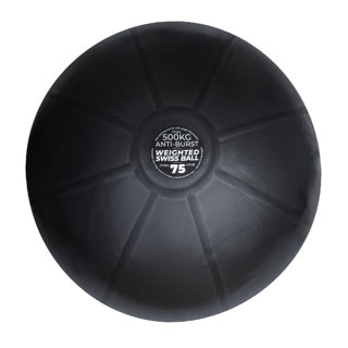 1kg Weighted Swiss Balls