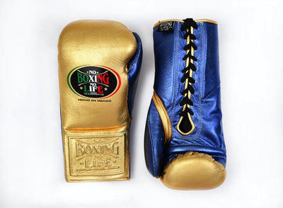 NO BOXING NO LIFE - Champion Boxing Glove